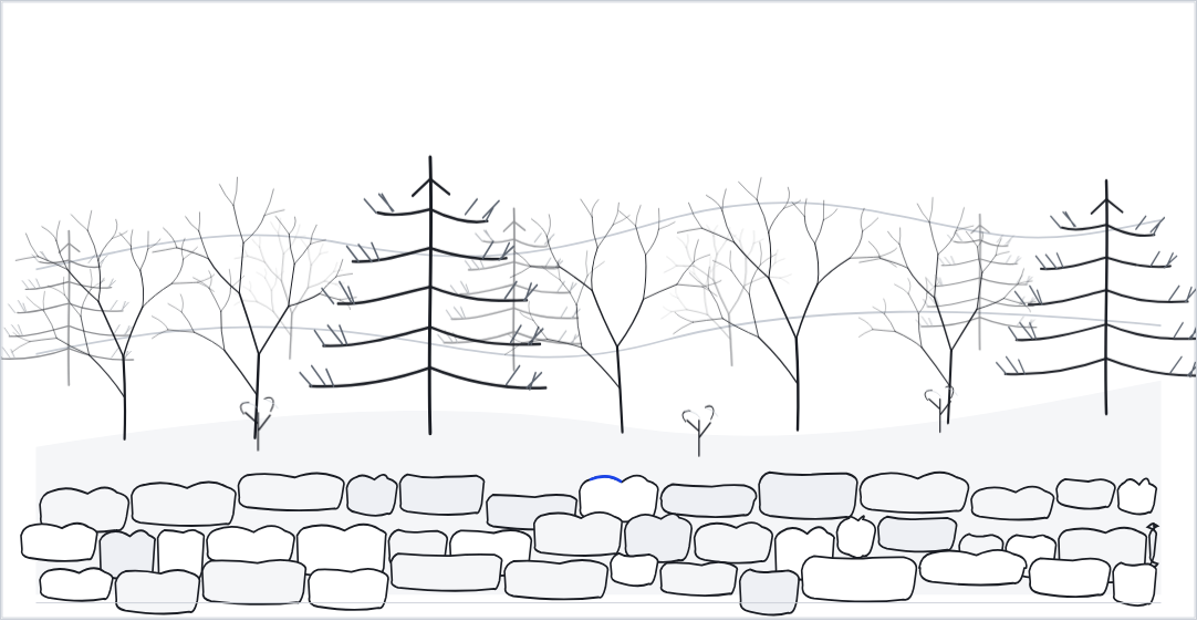 Illustrated second-growth forest and stone wall